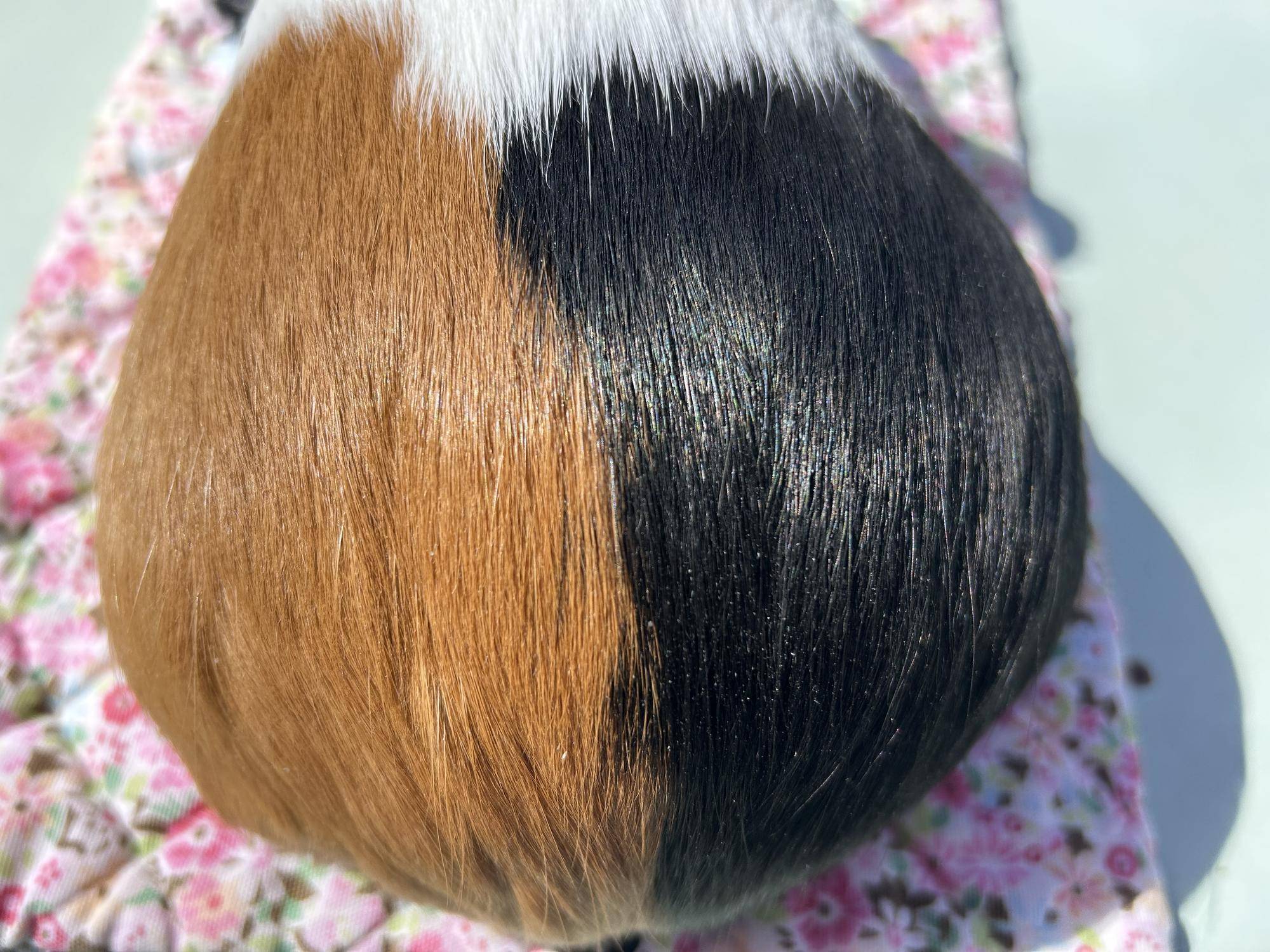 「ようこそ!」の写真