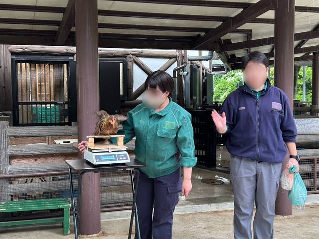 屋根の下でガイドを行うスタッフ.jpg