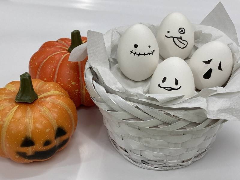 万騎が原『飼育員さんといっしょ～2021ハロウィン～』 「たまごおばけとハロウィンかぼちゃ」.jpg