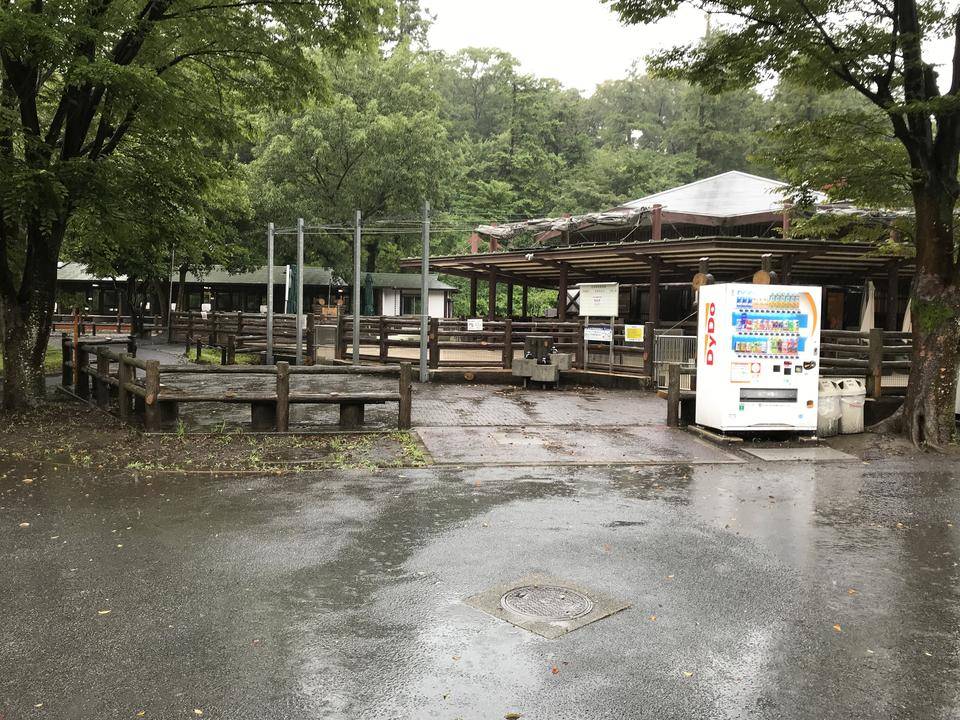 【万騎が原】雨にも負けず1.大雨で濡れるちびっこ動物園.jpg