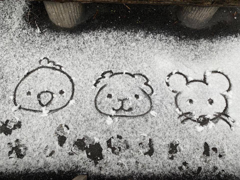 【万騎が原】『冬の贈り物』（雪に描いた動物たちのイラスト）.jpg