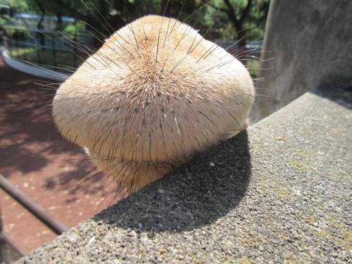 そらの初ナイトの写真