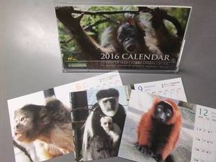 2016年卓上カレンダーの裏話