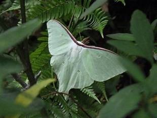 産卵、孵化、その手前?・・・