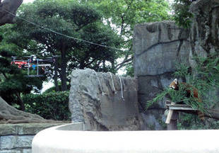 レッサーパンダ、謎の飛行物体に遭遇する。