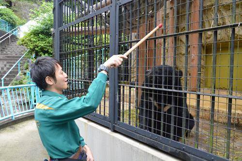 ツキノワグマのお勉強タイムの写真