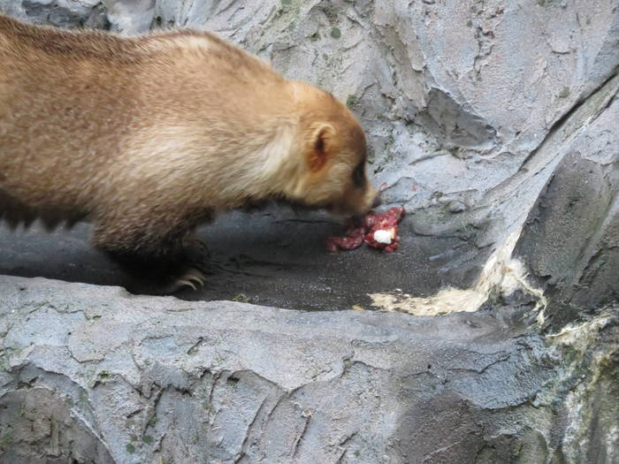 2016 ブログ トピック 07284.jpgのサムネイル画像