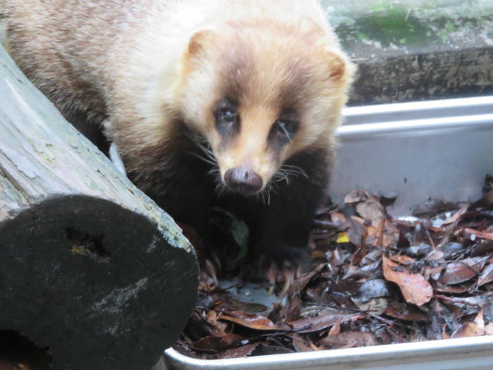 2016 ブログ トピック 07287.jpgのサムネイル画像