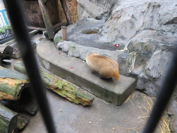 2016 ブログ トピック 07282.jpgのサムネイル画像