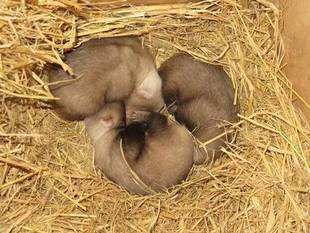 ミカン・デコポンのhappy baby