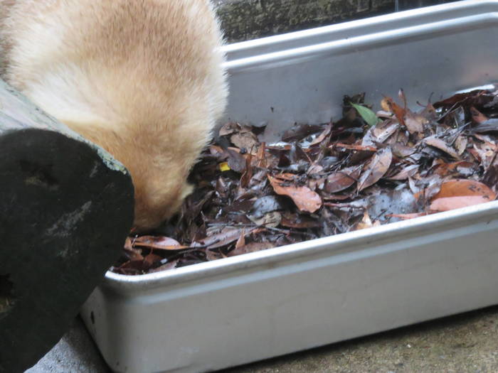 2016 ブログ トピック 07286.jpgのサムネイル画像