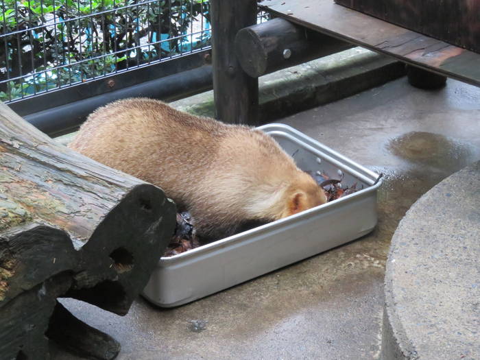 2016 ブログ トピック 07288.jpgのサムネイル画像