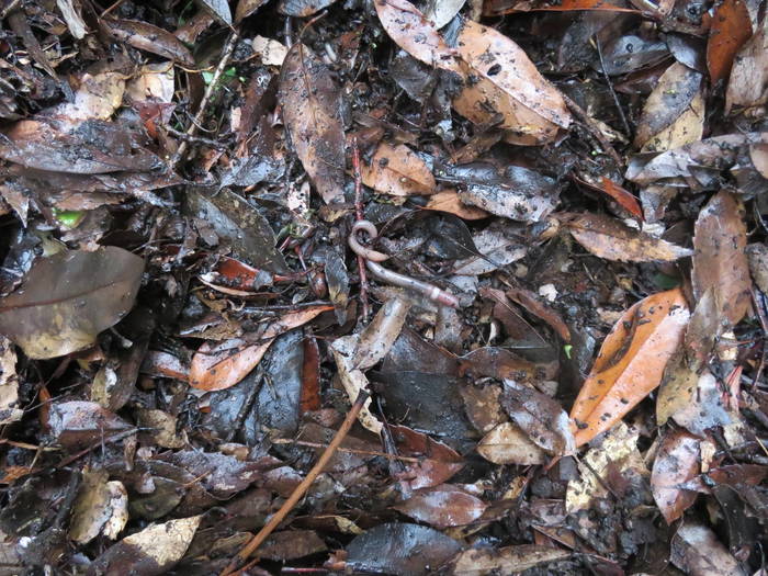 2016 ブログ トピック 0728 1.jpgのサムネイル画像