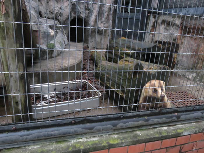 2016 ブログ トピック 072810.jpgのサムネイル画像