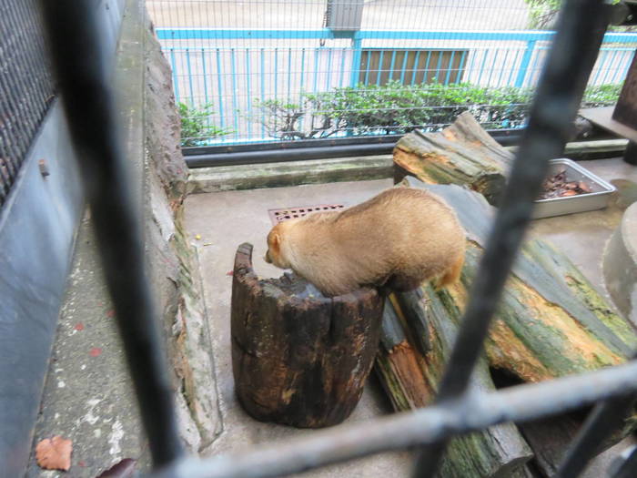 2016 ブログ トピック 07285.jpgのサムネイル画像