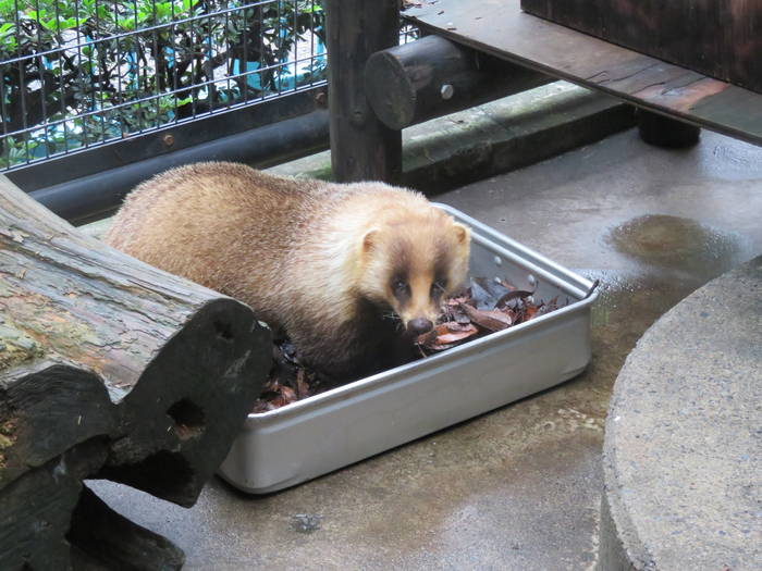 2016 ブログ トピック 07289.jpgのサムネイル画像