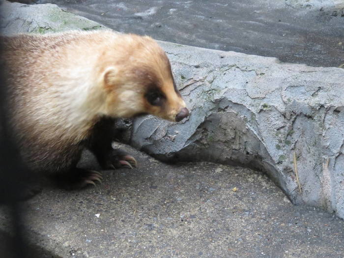 2016 ブログ トピック 07283.jpgのサムネイル画像