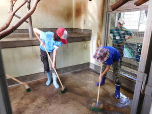 小学生の一日飼育体験！