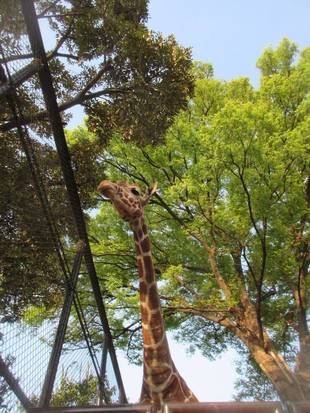 「そら」のお家の変化