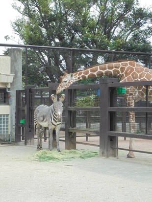 「そら」の夜更かし