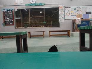 なかよし広場モノマネ大会