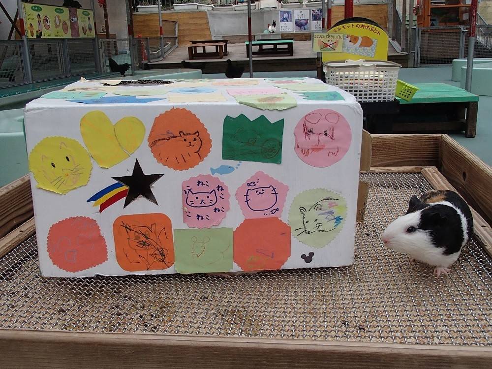 ギュウギュウだけどポッカポカ♪の写真