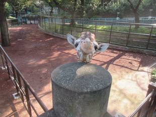 「そら」と「紅葉」！