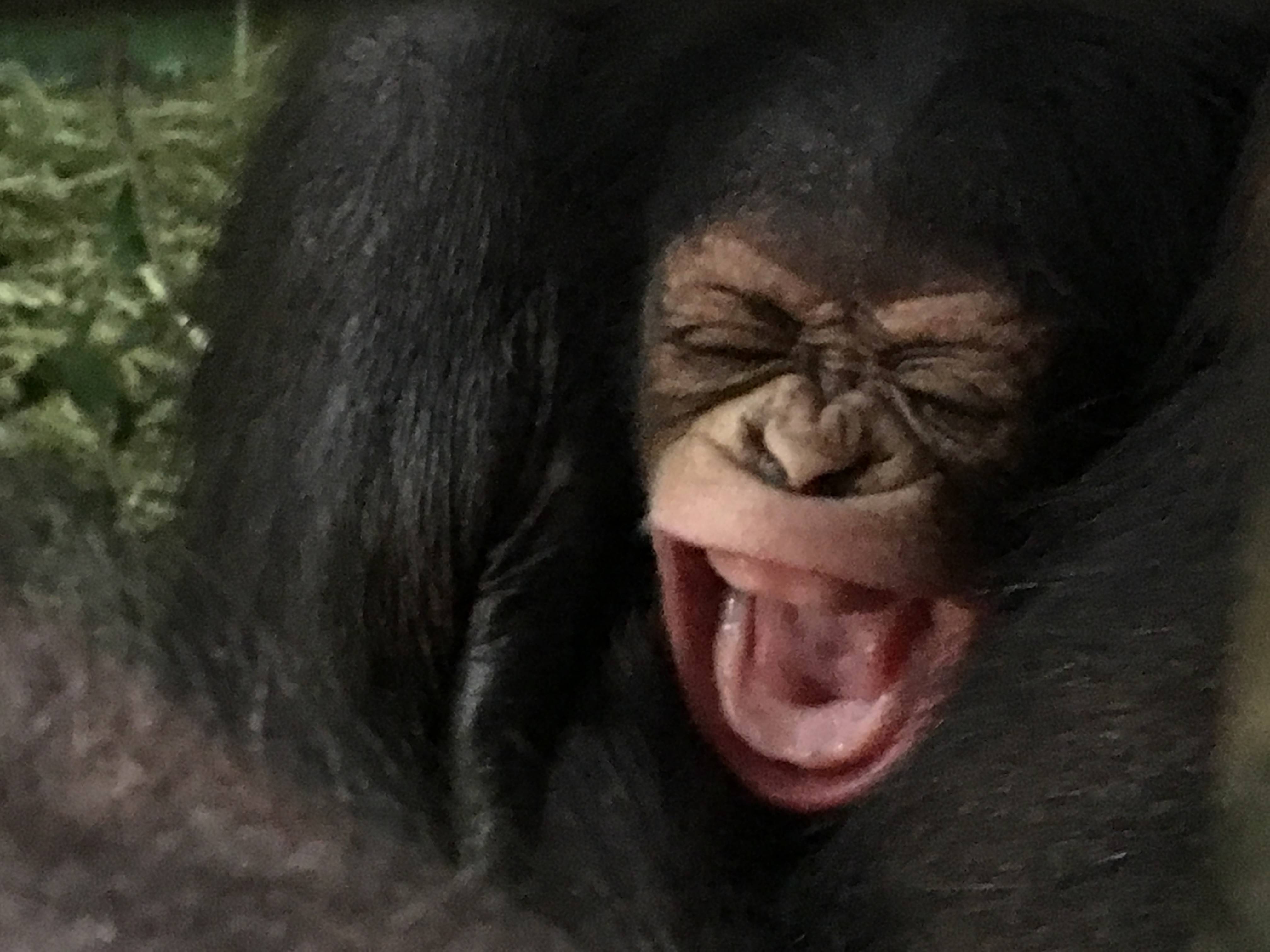 愛称が決まりました!の写真