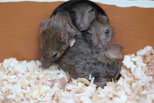 今年の秋は、、、