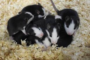 はじめまして！