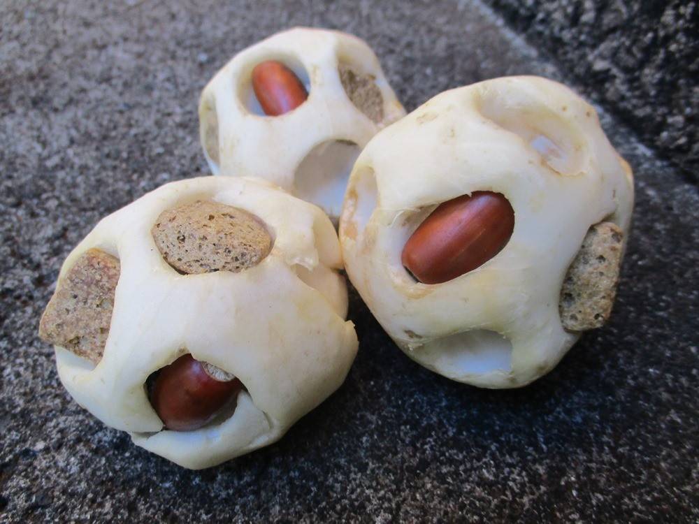 お正月ならではのエンリッチメントの写真