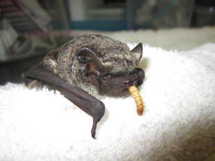 物置の中には...?