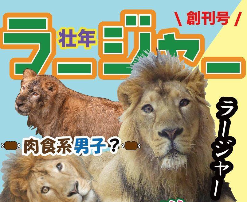 「らいおんくん」ふたたびの写真