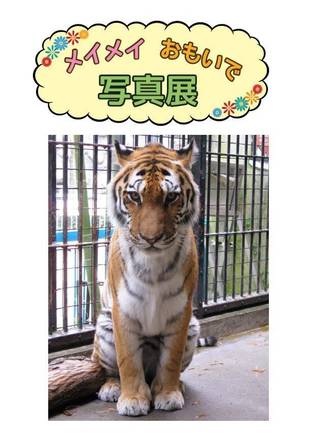 メイメイ 思いで写真展