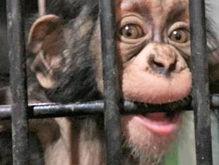 コウタロウ成長中！！