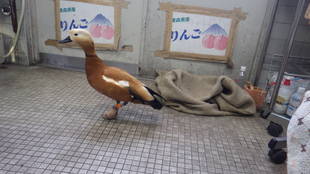 職人手作りの靴！？