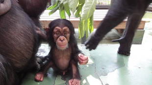 徐々に勢力拡大中!!