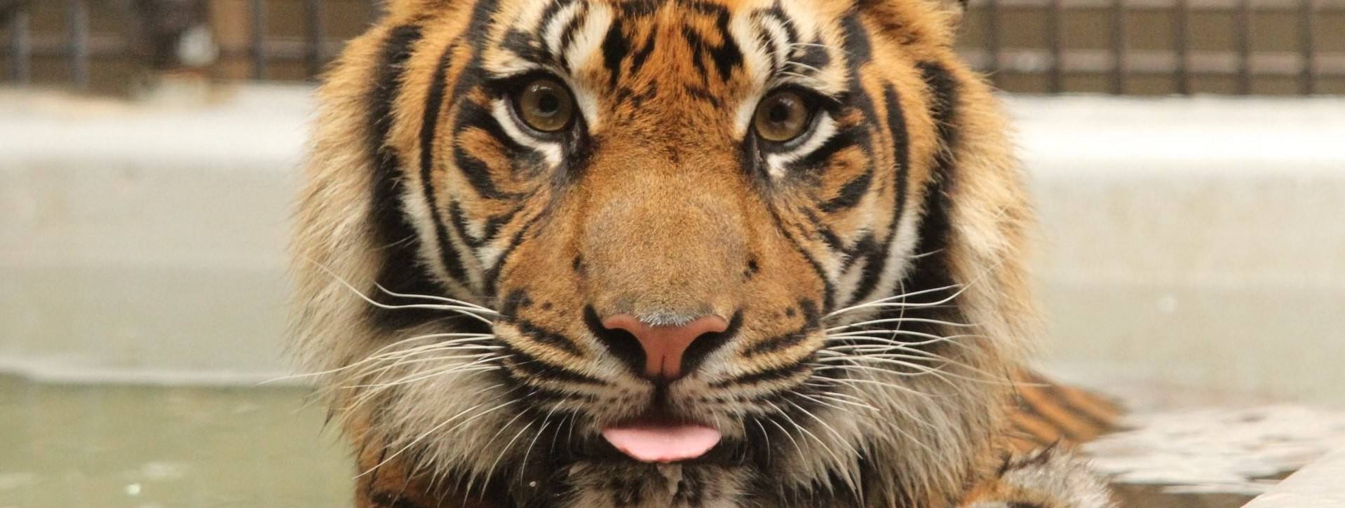 半歩前進!!の写真