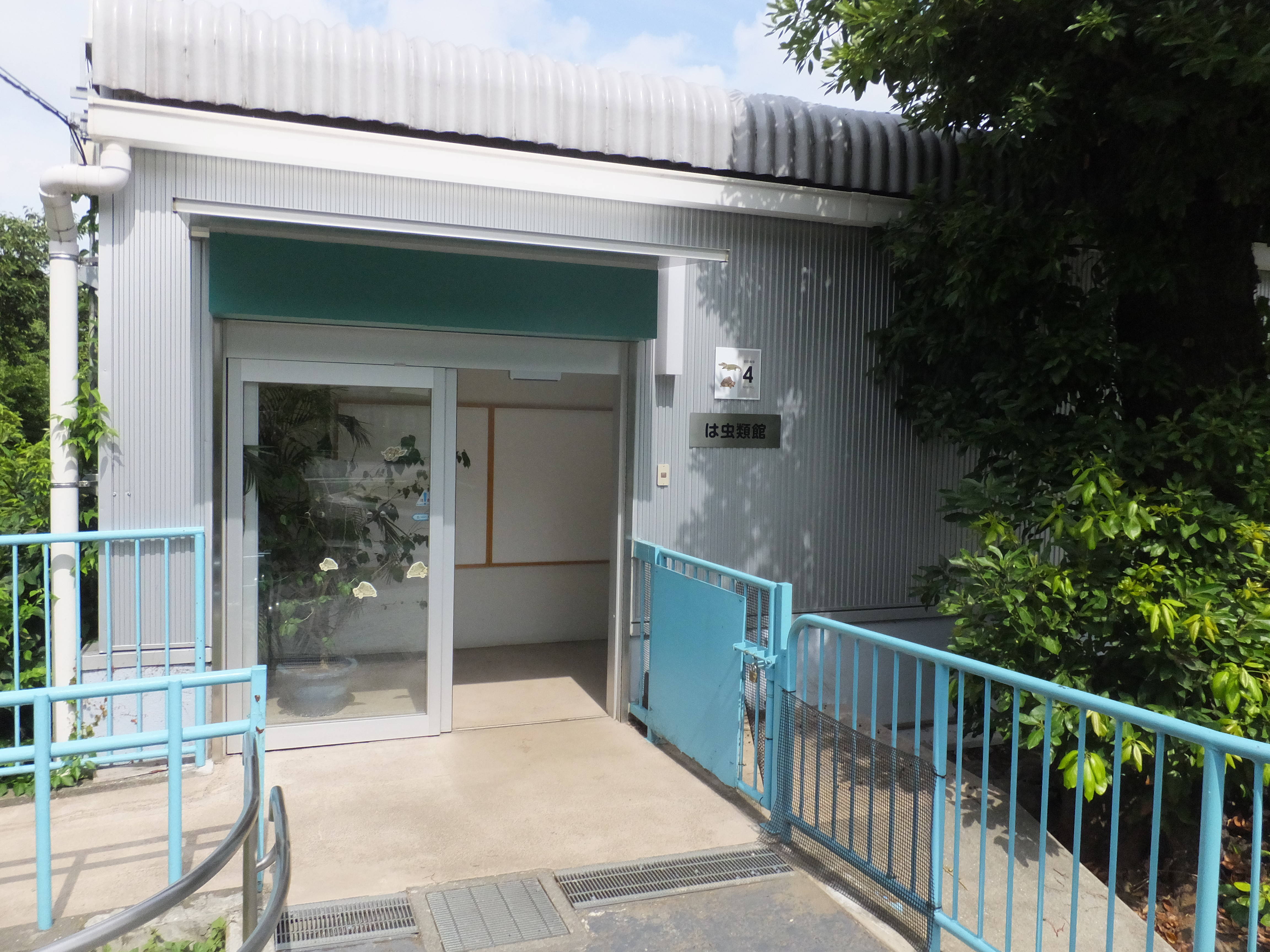 ミズオオトカゲの展示場プチ改造の写真
