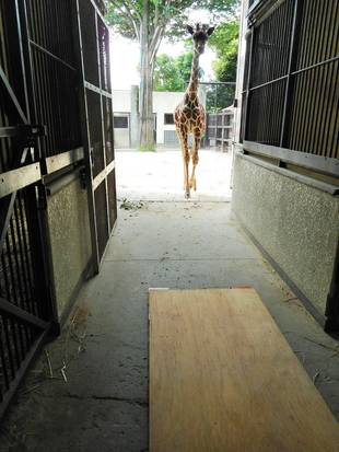 体重測定に向けて！