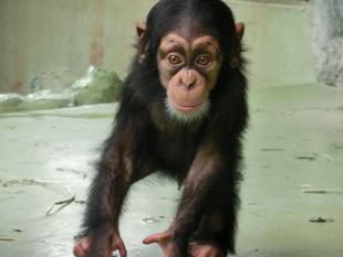 コウタロウが1歳になりました！