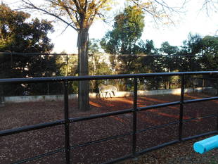 モモタロウとダッシュ!