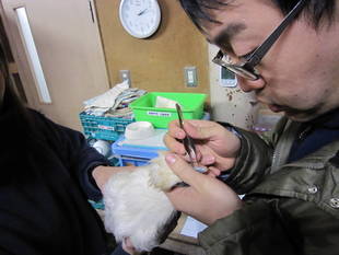 たまには外でもお仕事してます