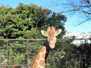 Happy Birthday　そら！