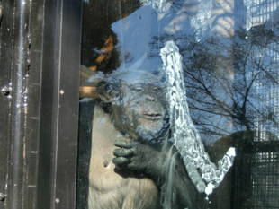 冬の出来事 その1