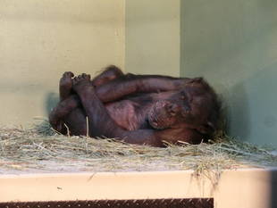 冬の出来事 その2