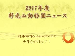 2017年度　野毛山動物園ニュース！