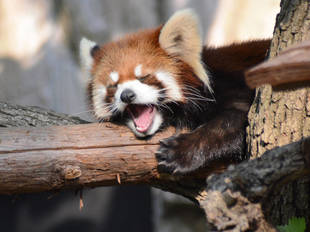 ゆううつな季節になりました！