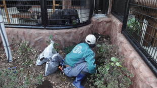 モート(堀)に緑を植えました