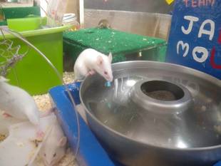 大きな四角いものの正体は...？